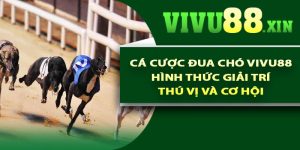 Cá cược đua chó Vivu88 – Hình thức giải trí thú vị và cơ hội