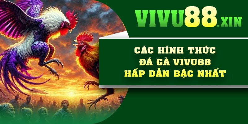 Các hình thức đá gà Vivu88 hấp dẫn bậc nhất