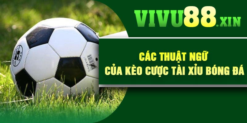 Các thuật ngữ của kèo cược tài xỉu bóng đá