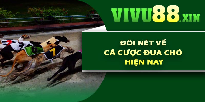 Đôi nét về cá cược đua chó hiện nay