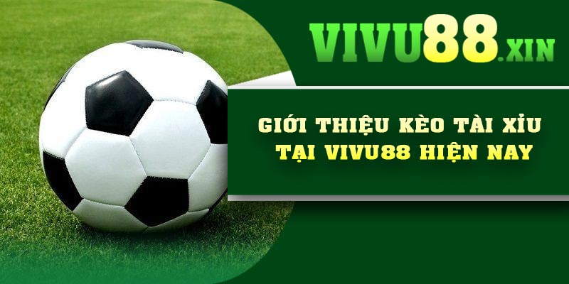 Giới thiệu kèo tài xỉu tại Vivu88 hiện nay