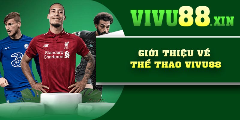 Giới thiệu về thể thao Vivu88