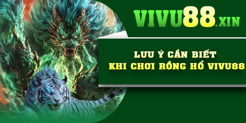 Lưu ý cần biết khi chơi Rồng Hổ Vivu88