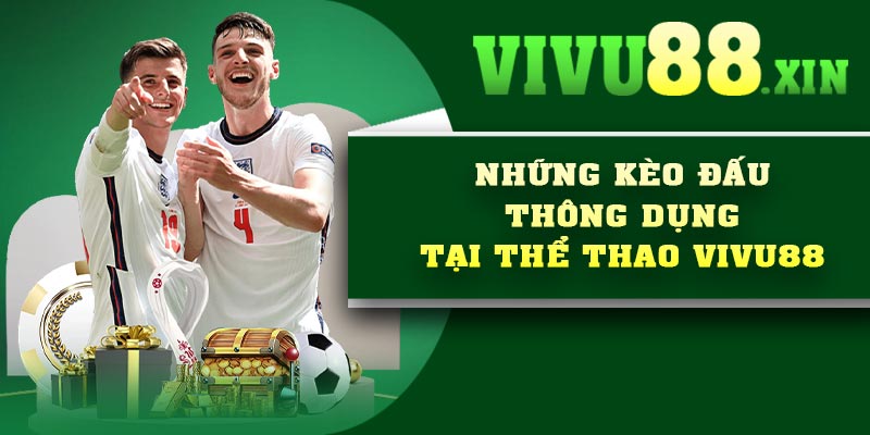 Những kèo đấu thông dụng tại thể thao Vivu88